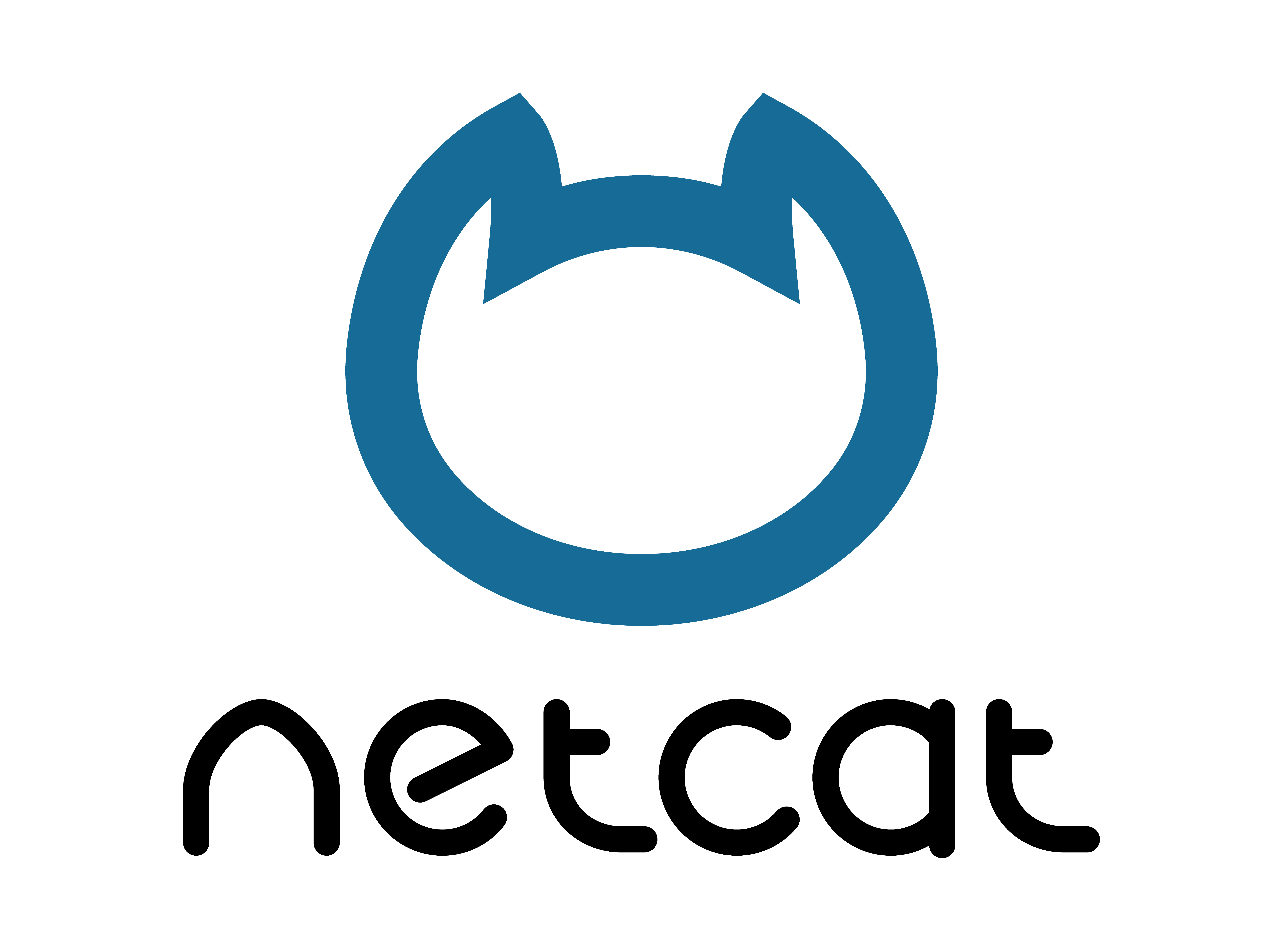 NetСat